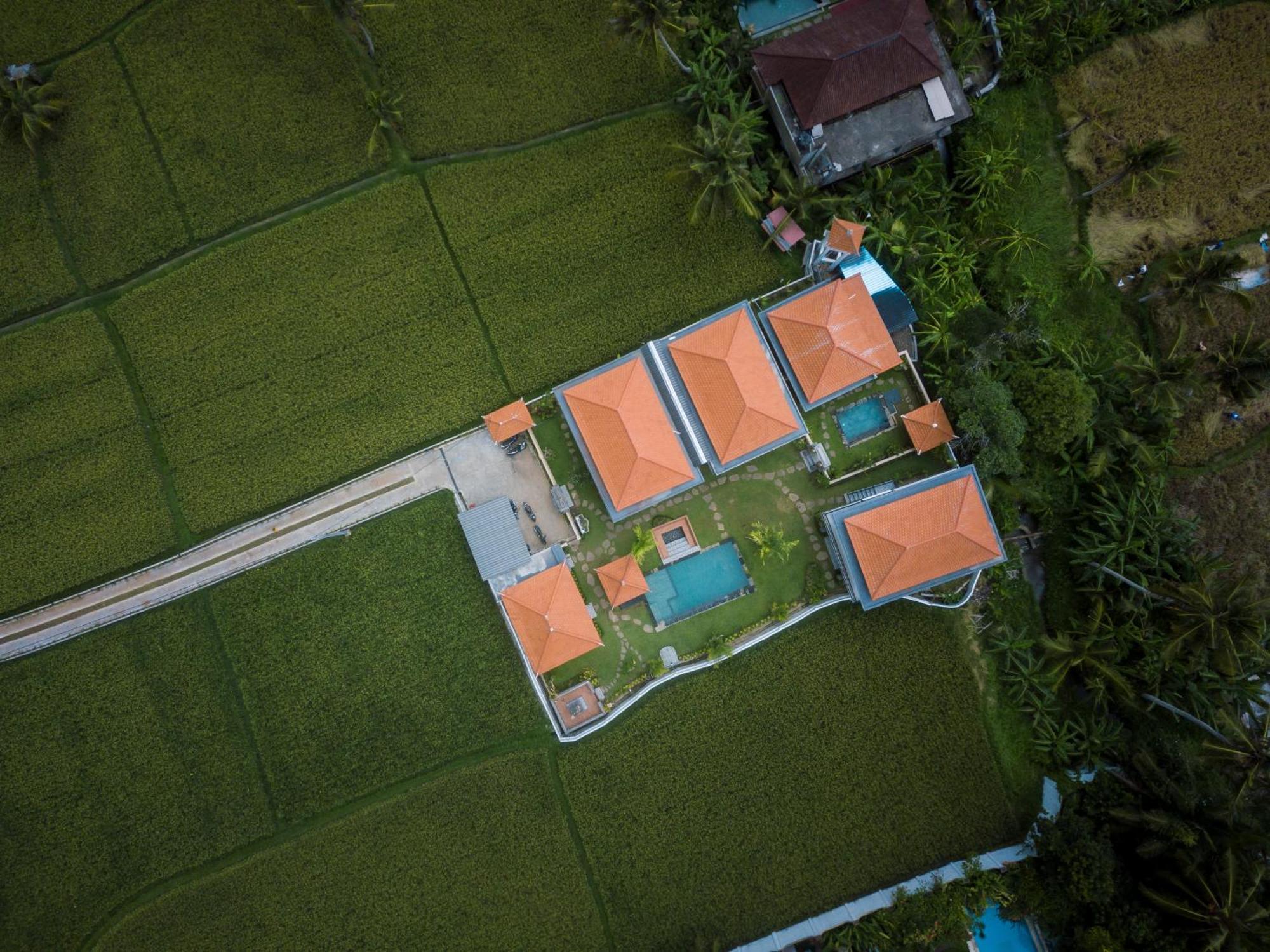 The Patra Ubud Dış mekan fotoğraf